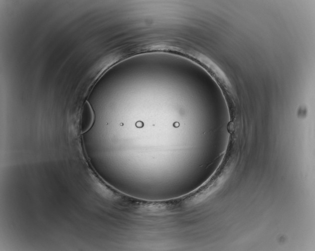 X0000103160801200808221353