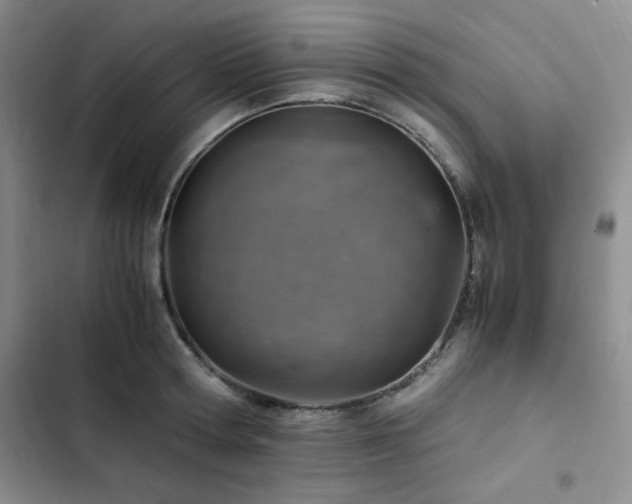 X0000103160802200808221353