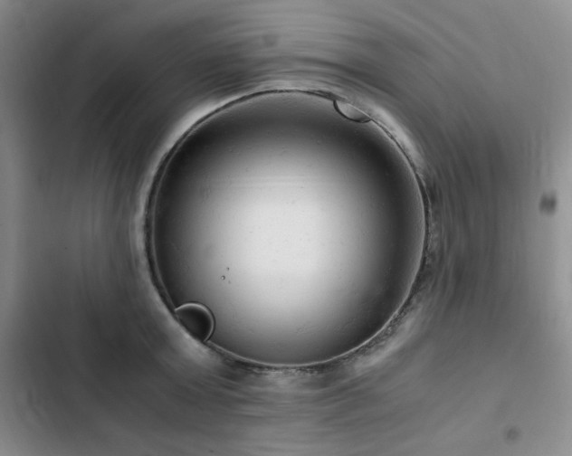 X0000103160803200808221353