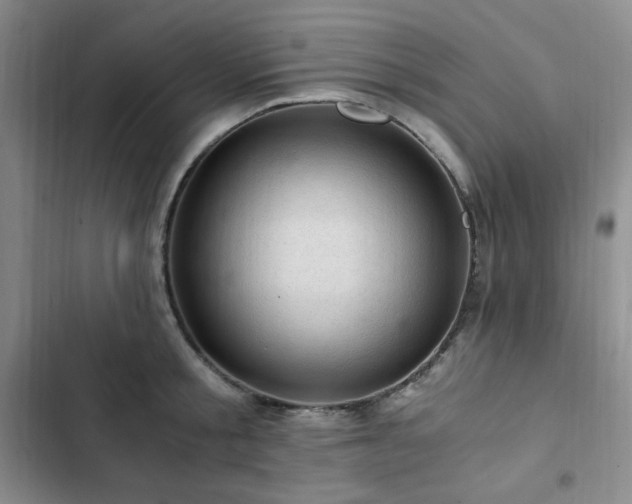 X0000103160805200808221353