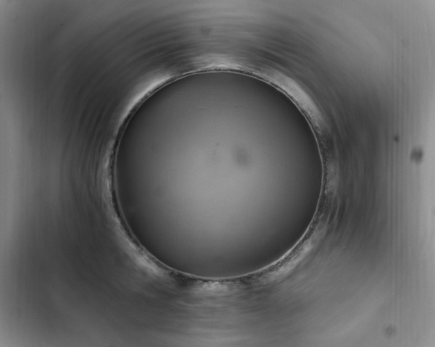 X0000103160806200808221353