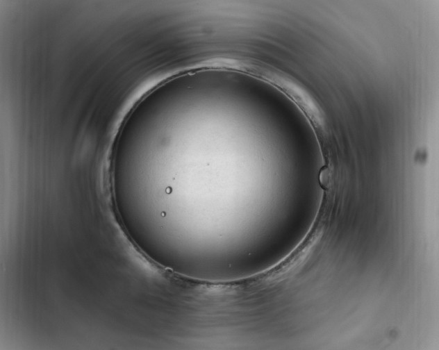 X0000103160808200808221353