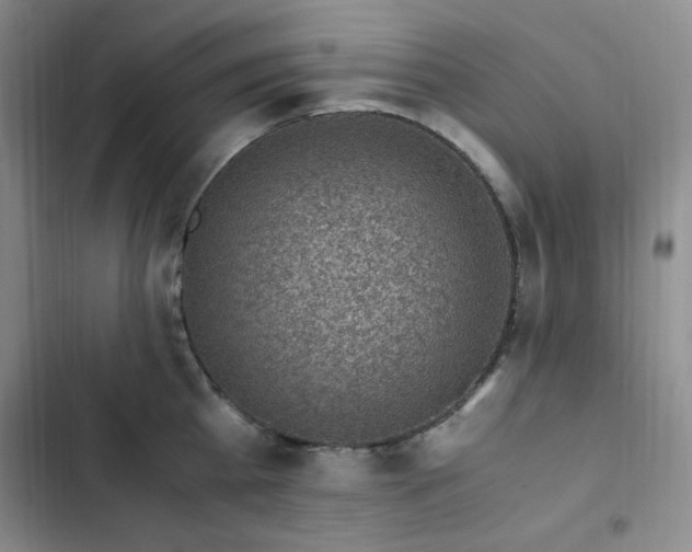 X0000103160809200808221353
