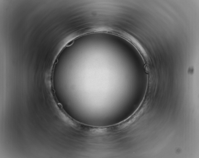 X0000103160810200808221353