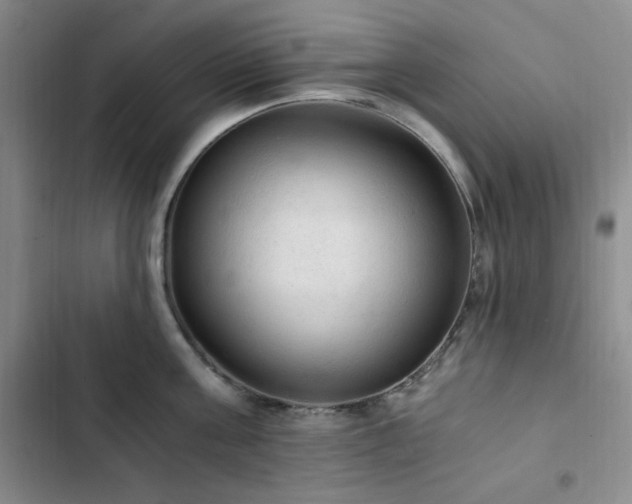 X0000103160811200808221353