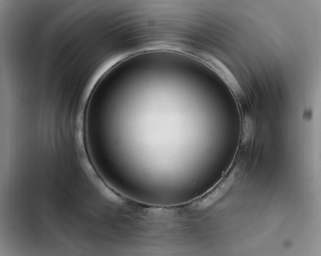 X0000103160812200808221353