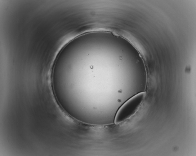 X0000103160813200808221353