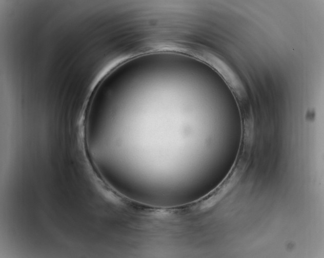 X0000103160814200808221353