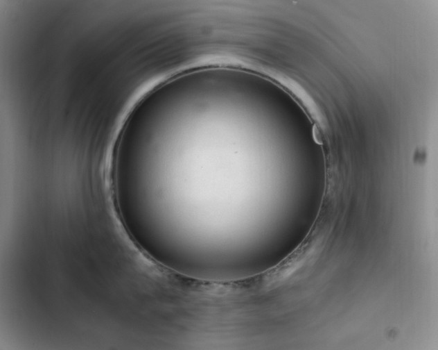 X0000103160815200808221353