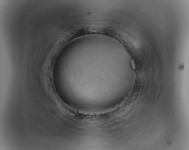 X0000103160817200808221352