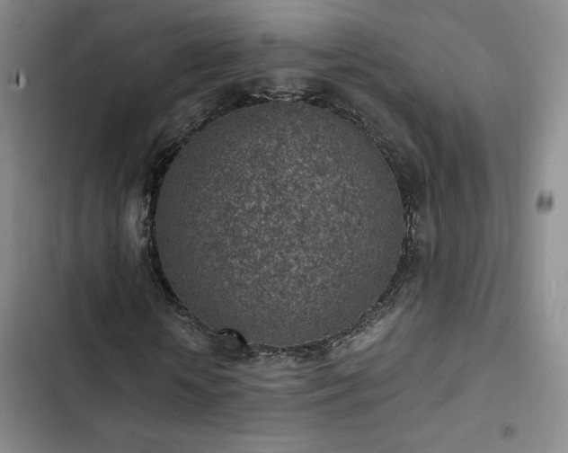 X0000103160818200808221352
