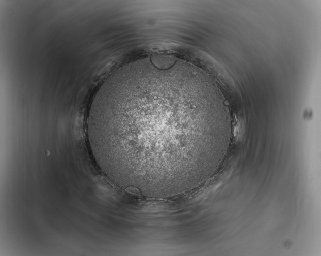 X0000103160819200808221352