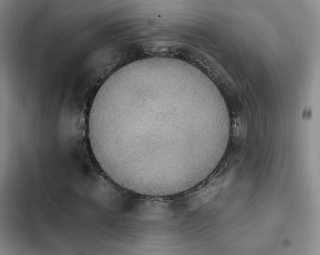 X0000103160820200808221352