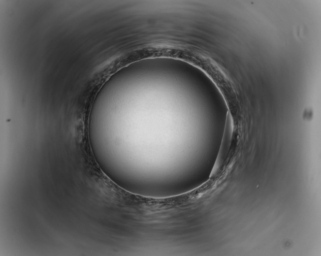 X0000103160821200808221352