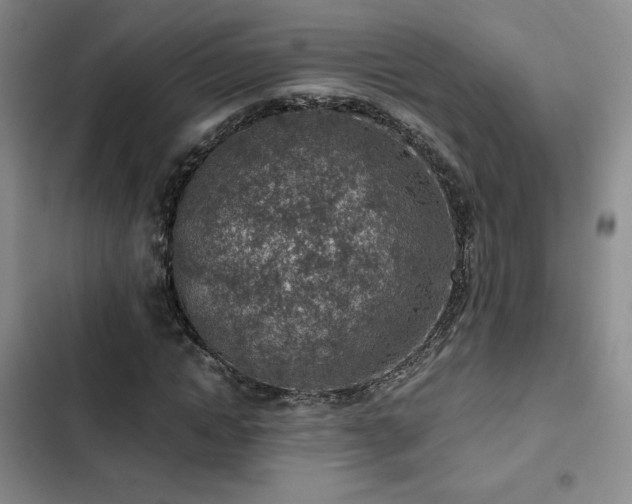 X0000103160822200808221352