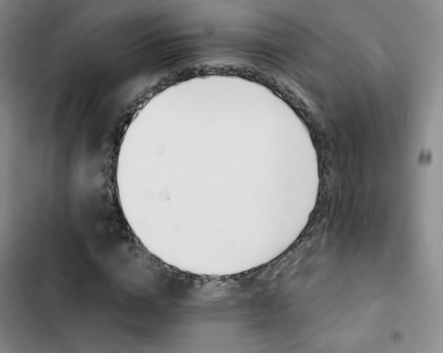 X0000103160824200808221352
