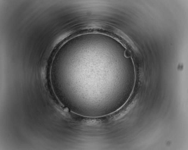 X0000103160826200808221352