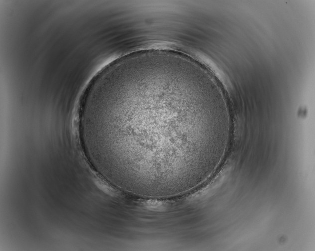X0000103160827200808221352