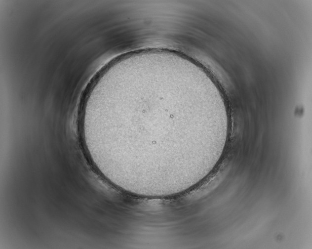 X0000103160828200808221352