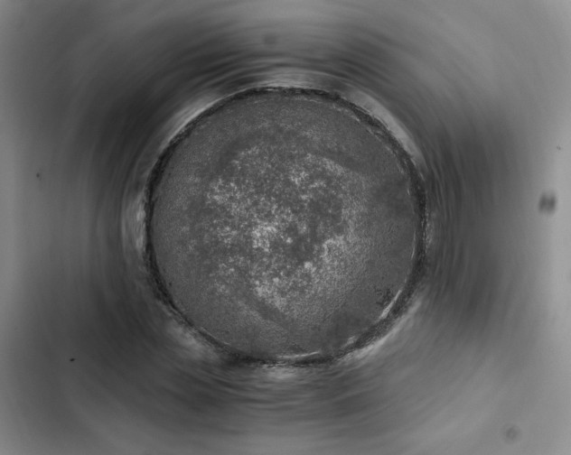 X0000103160829200808221352