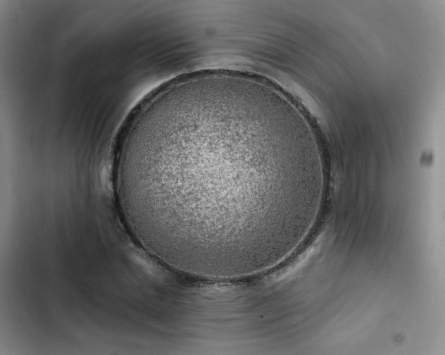X0000103160830200808221352