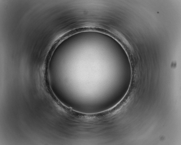 X0000103160831200808221352