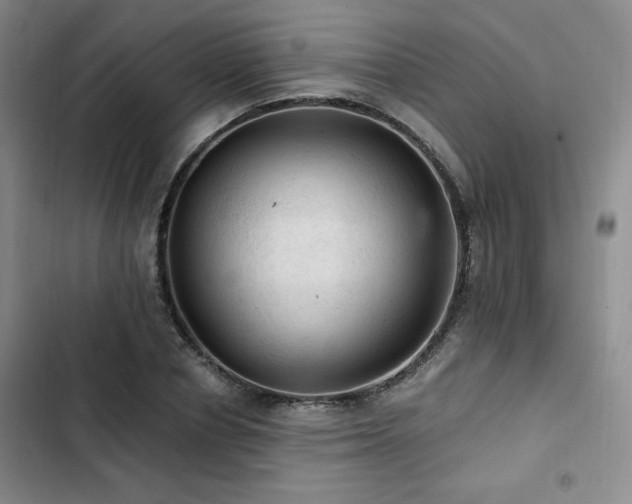 X0000103160834200808221352