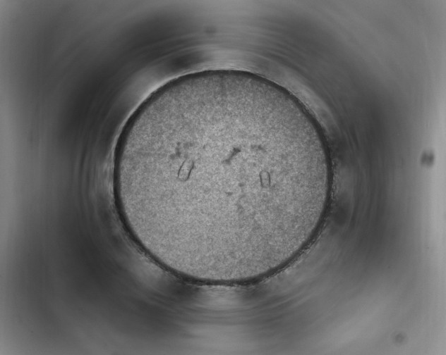 X0000103160836200808221352