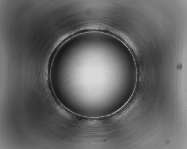 X0000103160837200808221352