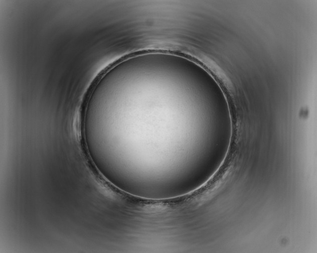 X0000103160838200808221352