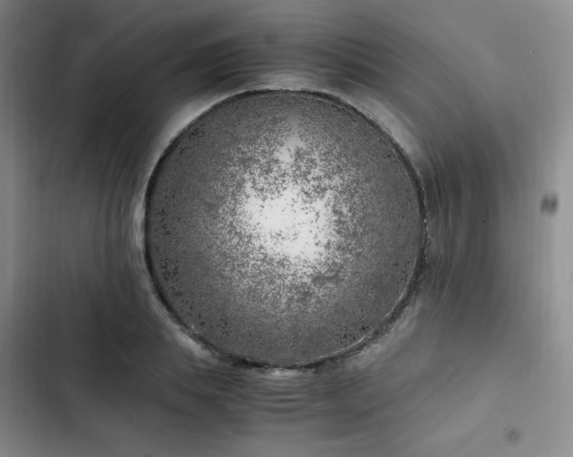 X0000103160839200808221352
