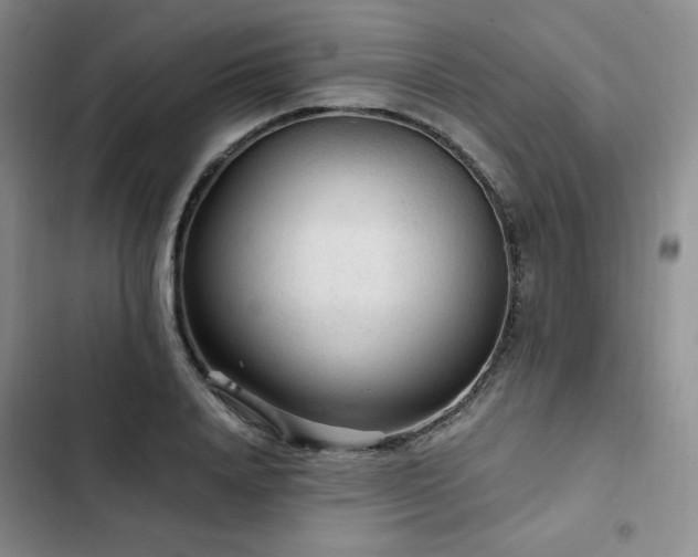 X0000103160840200808221352