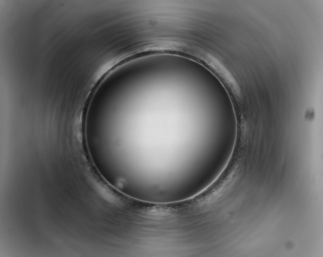 X0000103160842200808221352