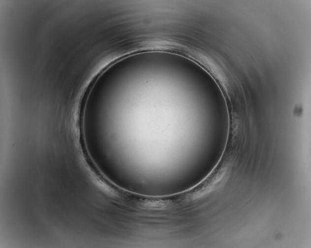 X0000103160843200808221352