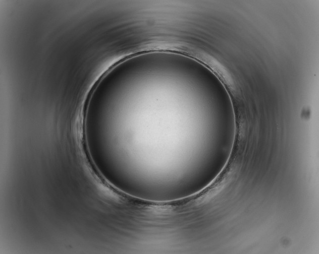 X0000103160844200808221352