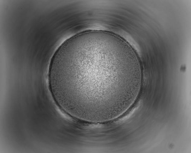 X0000103160845200808221352