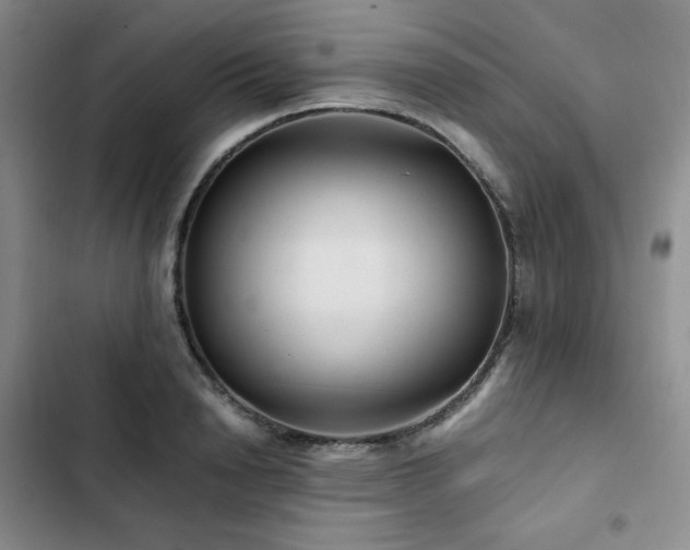 X0000103160846200808221352