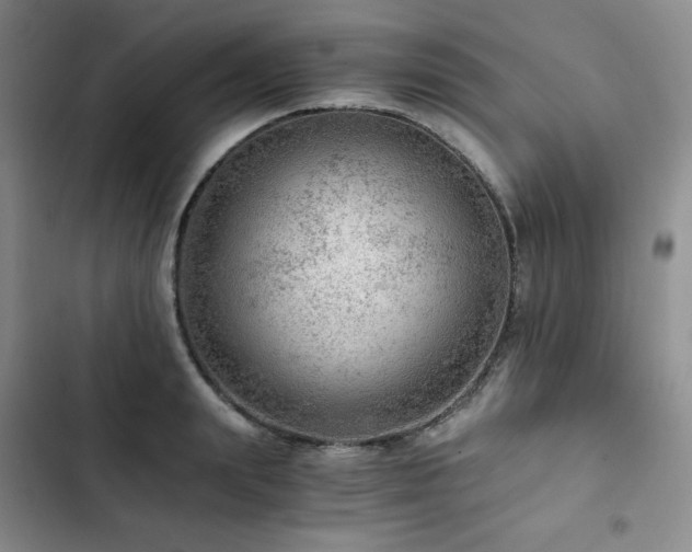 X0000103160847200808221352