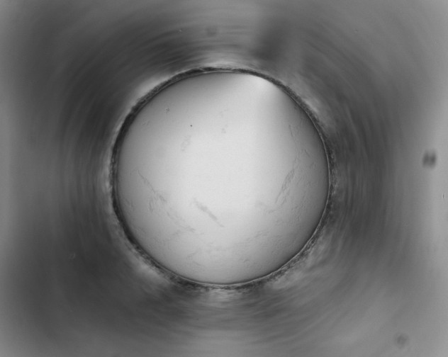 X0000103160848200808221352