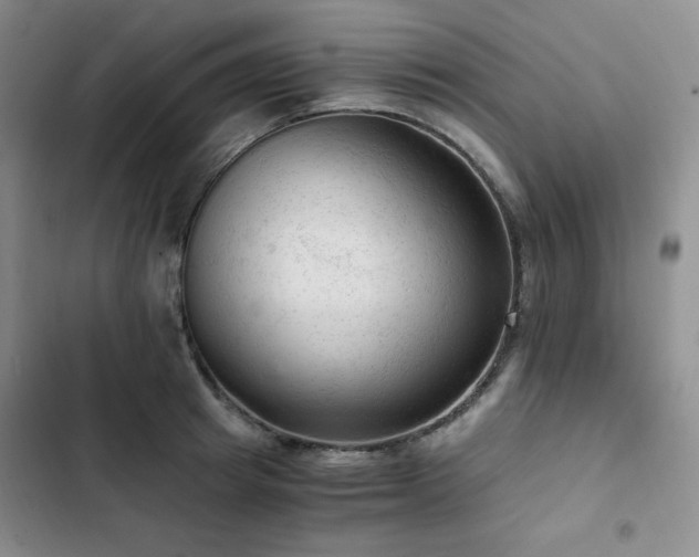 X0000103160849200808221352