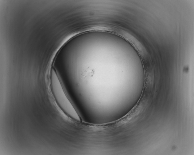 X0000103160852200808221352