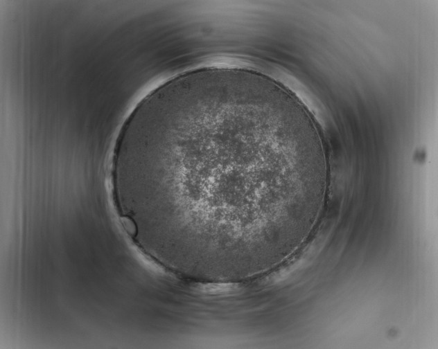 X0000103160853200808221352