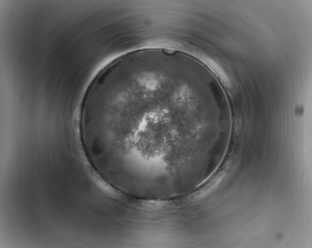 X0000103160854200808221352