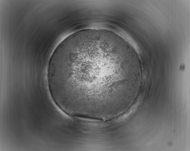 X0000103160855200808221352