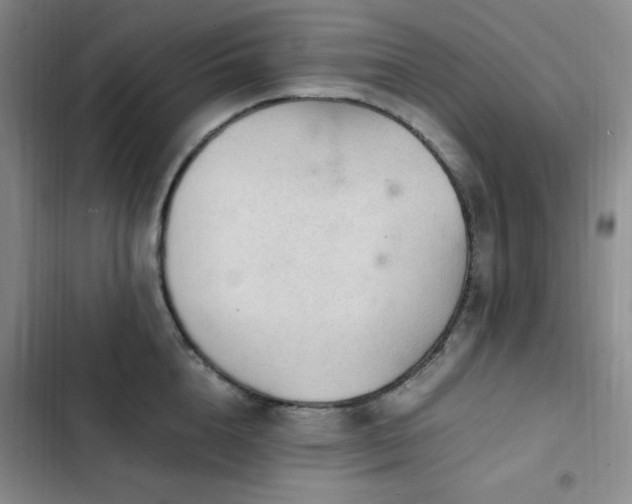 X0000103160856200808221352