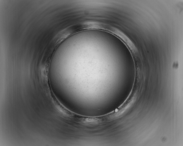 X0000103160857200808221352