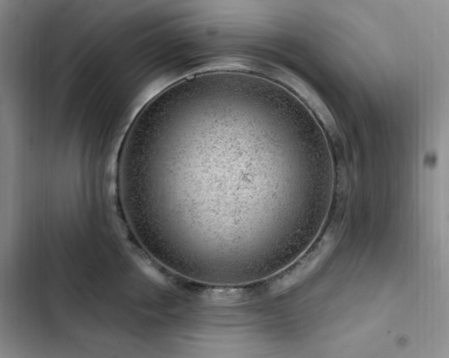X0000103160858200808221352