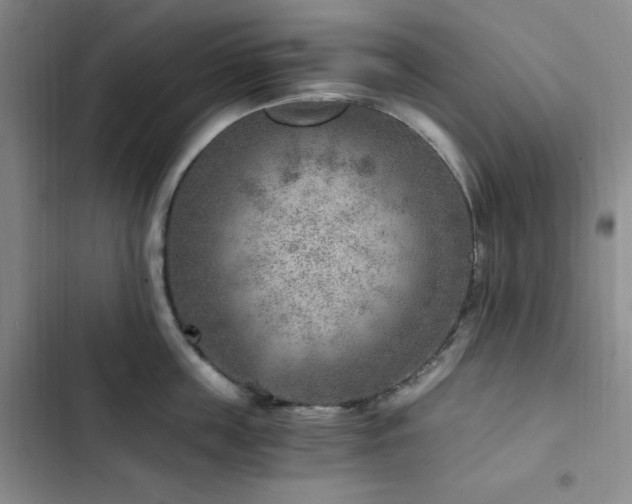 X0000103160859200808221352