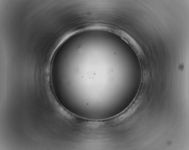 X0000103160860200808221353