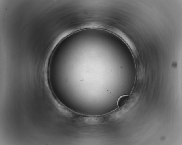 X0000103160861200808221353